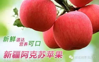 微送水果工廠店12家門店同慶盛典 每日供應(yīng)依舊秒光，水果為何至此搶購大戰(zhàn)？